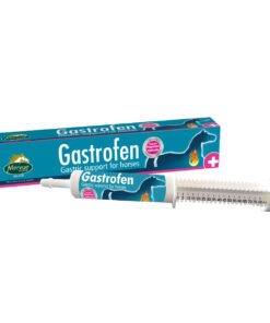 Mervue Gastrofen 80 ml
